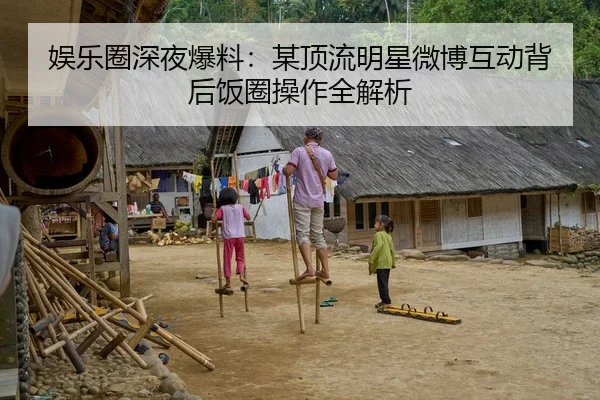娱乐圈深夜爆料：某顶流明星微博互动背后饭圈操作全解析